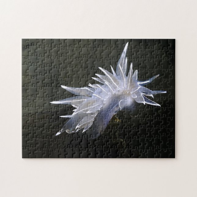 Rompecabezas de Alabaster Nudibranch (Horizontal)
