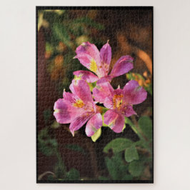 Rompecabezas de Alstroemeria Rosa Lilly