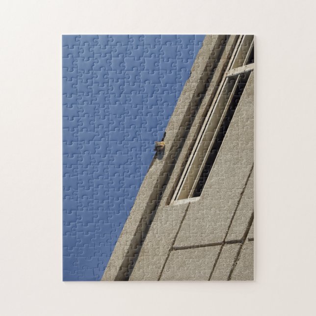 Rompecabezas de ardilla (Vertical)