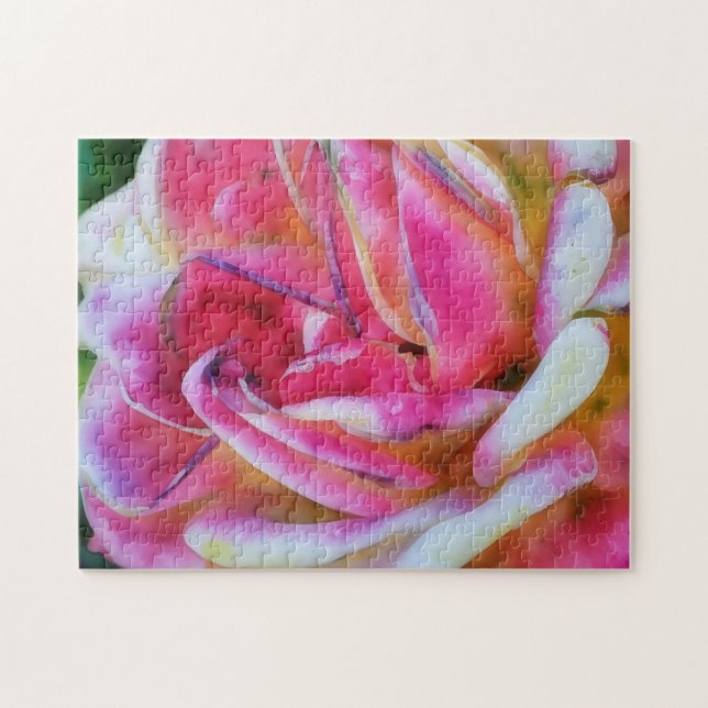 Rompecabezas de Arte de Flor de Rosa Rosa y Blanca (Horizontal)