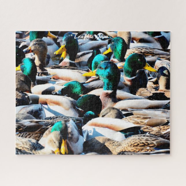 Rompecabezas de atasco de tráfico de patos reales (Horizontal)