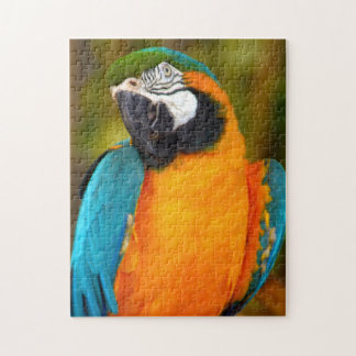 Rompecabezas de Aves de Macaw