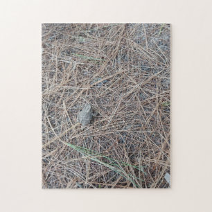 Rompecabezas de Baby Toad Jigsaw