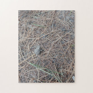 Rompecabezas de Baby Toad Jigsaw