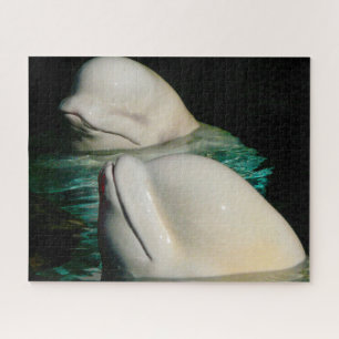 Rompecabezas de ballenas beluga