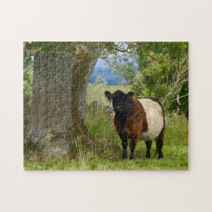 Rompecabezas de Beltie
