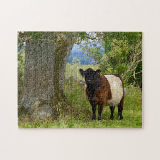 Rompecabezas de Beltie
