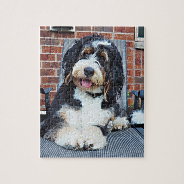 Rompecabezas de Bernedoodle (Vertical)