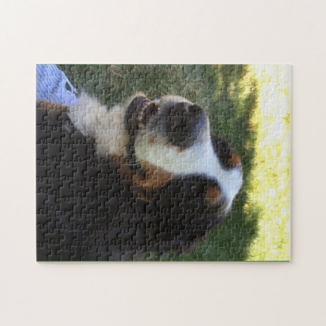 Rompecabezas de Bernese (Horizontal)