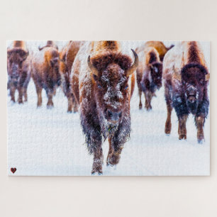 Rompecabezas de Bisonte Yellowstone Wyoming
