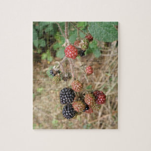 Rompecabezas de Blackberry Bonanza