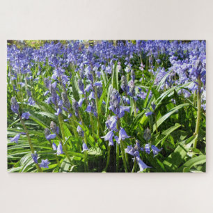 Rompecabezas de Bluebells