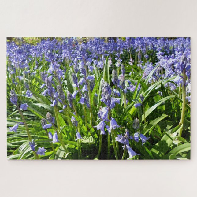 Rompecabezas de Bluebells (Horizontal)