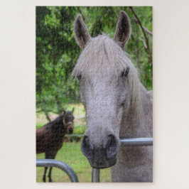 Rompecabezas de caballo
