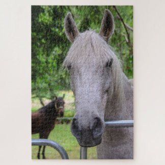 Rompecabezas de caballo