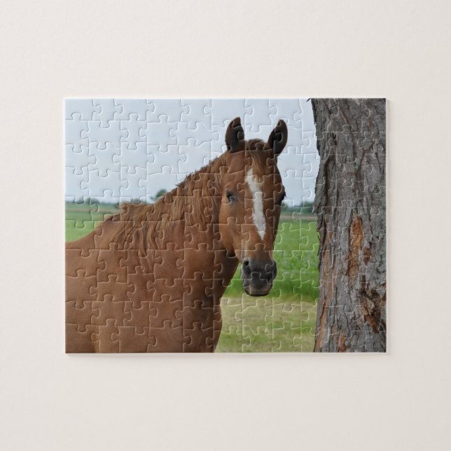 Rompecabezas de Caballo (Horizontal)