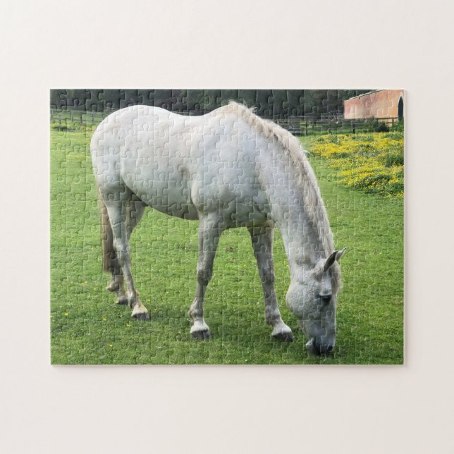 Rompecabezas de Caballo - Un Caballo Blanco Pastan (Horizontal)