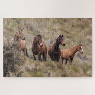 Rompecabezas de caballos salvajes de la naturaleza
