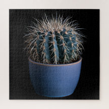 Rompecabezas de Cactus