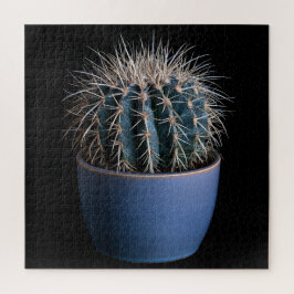 Rompecabezas de Cactus