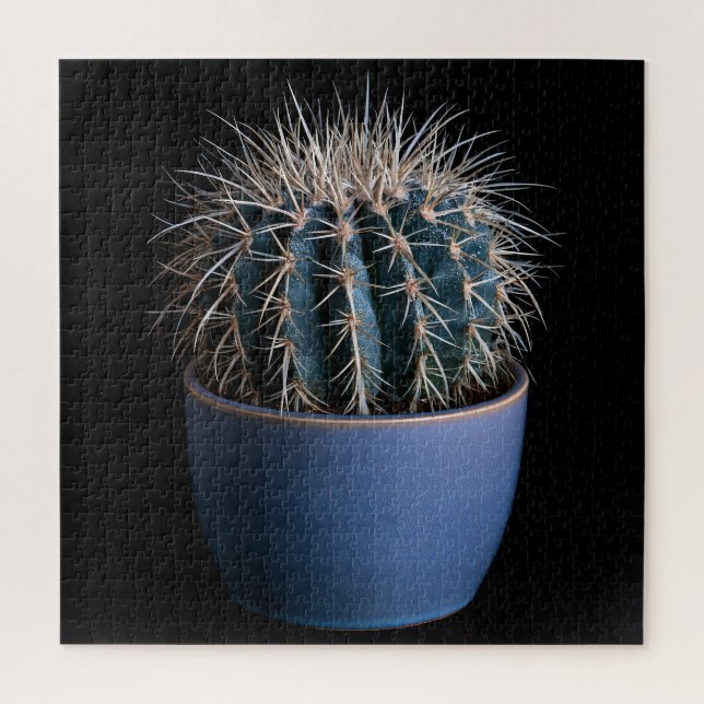 Rompecabezas de Cactus (Vertical)