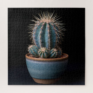 Rompecabezas de Cactus