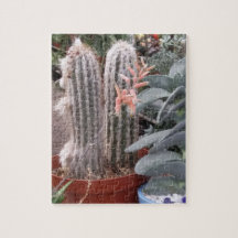 Rompecabezas de Cactus
