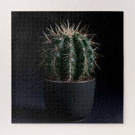 Rompecabezas de Cactus