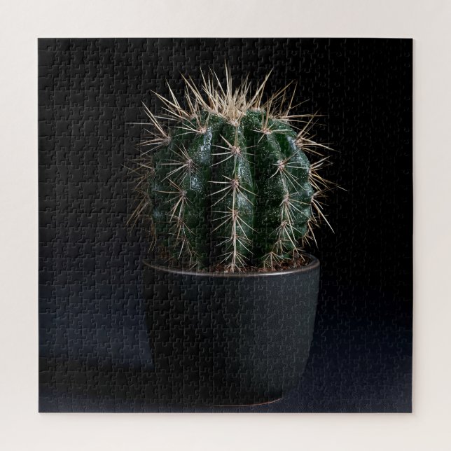 Rompecabezas de Cactus (Vertical)