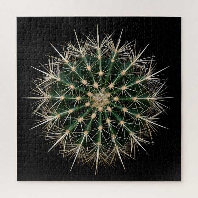 Rompecabezas de Cactus (Vertical)