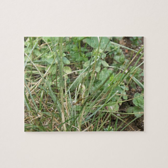 Rompecabezas de camuflaje de Grasshopper (Horizontal)