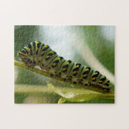 Rompecabezas de Caterpillar 10x14