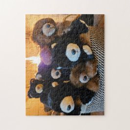 Rompecabezas de Cesta de Osos, 11" x 14", 252 piez
