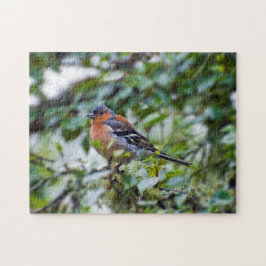 Rompecabezas de Chaffinch Jigsaw