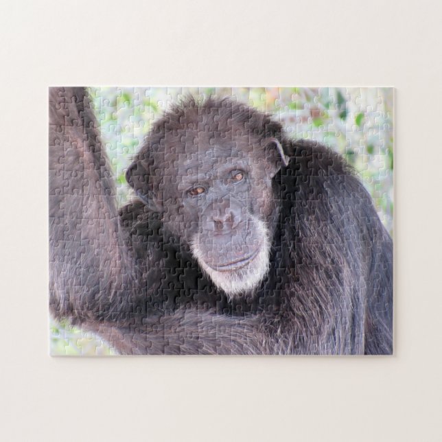 Rompecabezas de Chimpanzee (Horizontal)