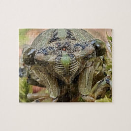 Rompecabezas de Cicada