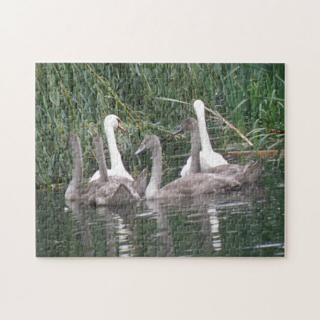 Rompecabezas de cignets y cisnes (Horizontal)