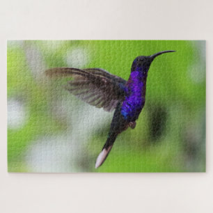 Rompecabezas de colibrí