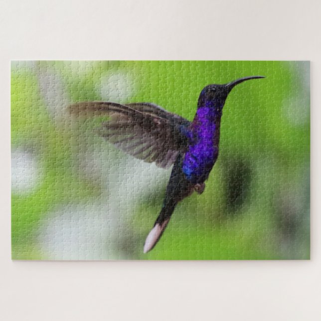 Rompecabezas de colibrí (Horizontal)