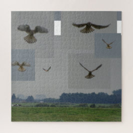 Rompecabezas de Collage: Eemnes Polder BIRD OF PRE