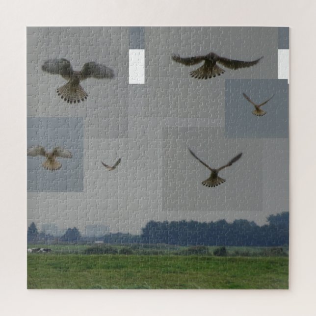 Rompecabezas de Collage: Eemnes Polder BIRD OF PRE (Vertical)