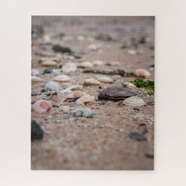 Rompecabezas de conchas en la playa