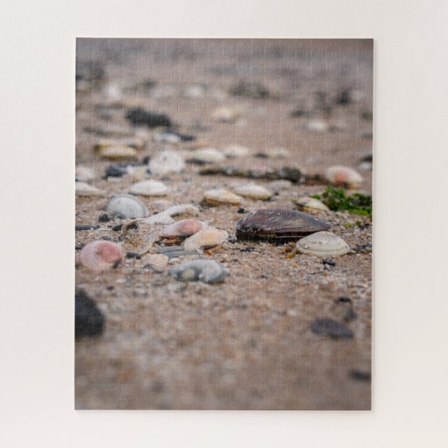 Rompecabezas de conchas en la playa (Vertical)