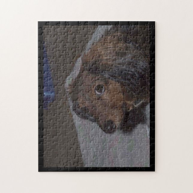 Rompecabezas de Dachshund de Pelo Largo (Vertical)