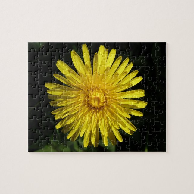 Rompecabezas de Dandelion (Horizontal)