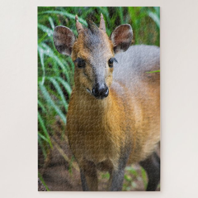 Rompecabezas de Dik (Vertical)