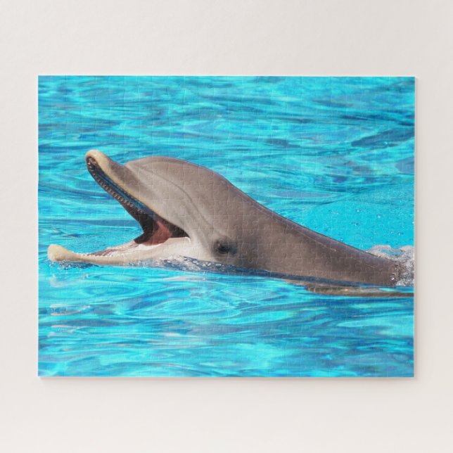 Rompecabezas de Dolphin Jigsaw (Horizontal)