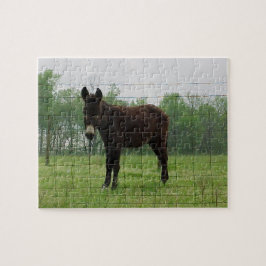 Rompecabezas de Donkey Jigsaw