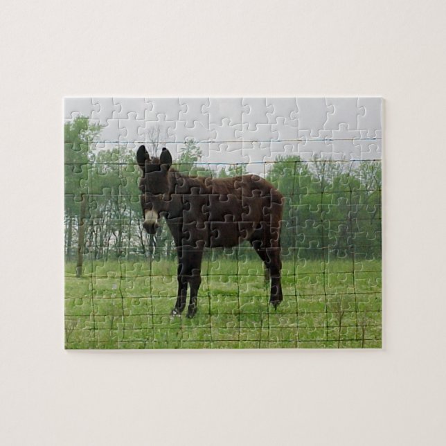 Rompecabezas de Donkey Jigsaw (Horizontal)