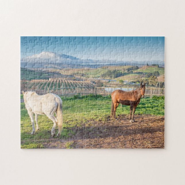 Rompecabezas de dos caballos árabes (Horizontal)